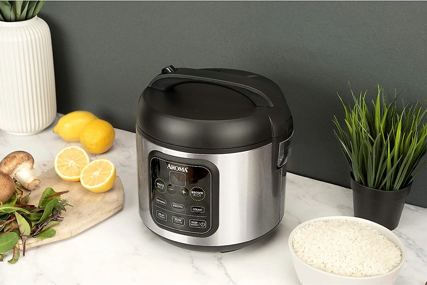 Aroma Housewares Panela Elétrica de Arroz, 1 L, 450W, 110V, preta.