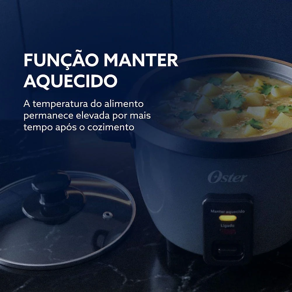 Panela Elétrica De Arroz 0,6L Oster Grafite 220V