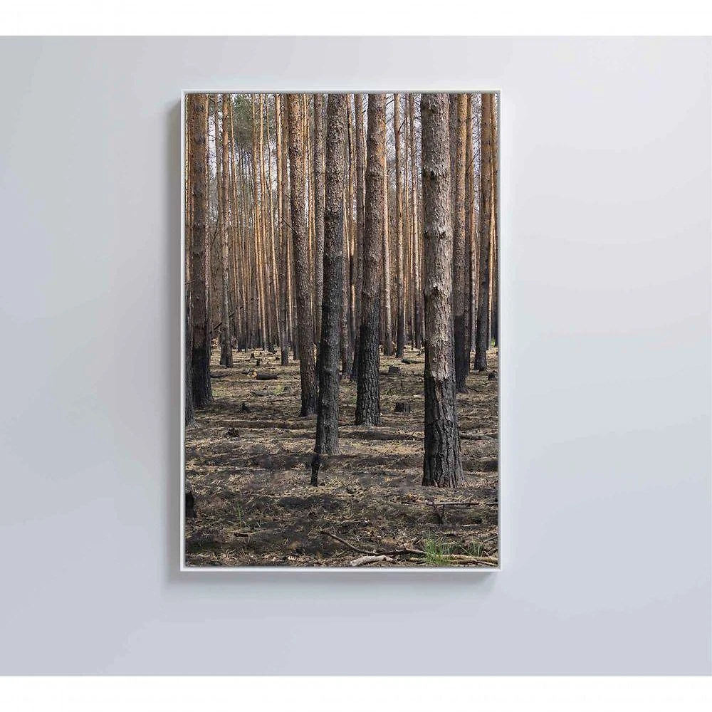 Quadro Eucaliptos 40x60 Cm Vidro Impresso