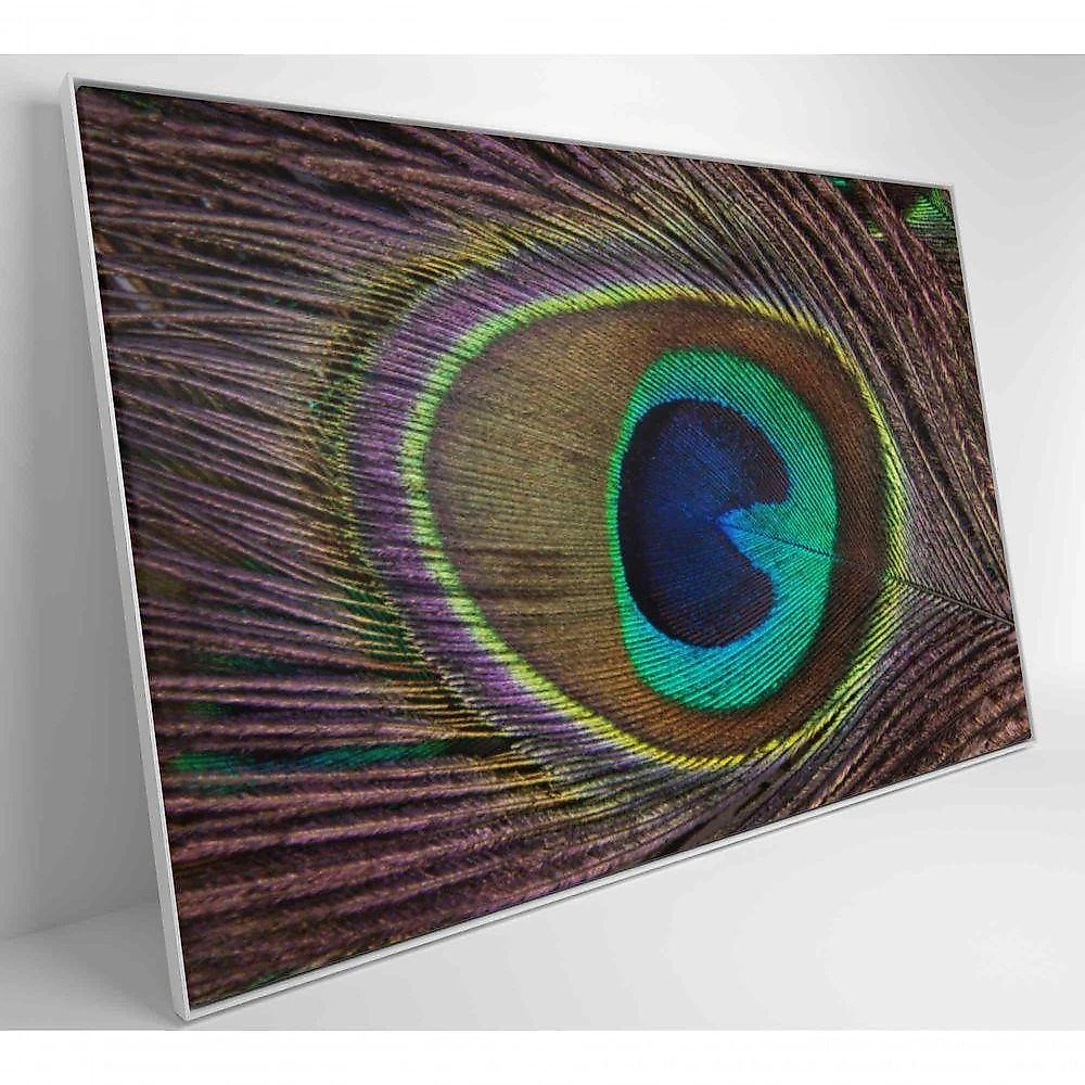 Quadro Penas De Pavão 120x80 Cm Adesivo Fotográfico