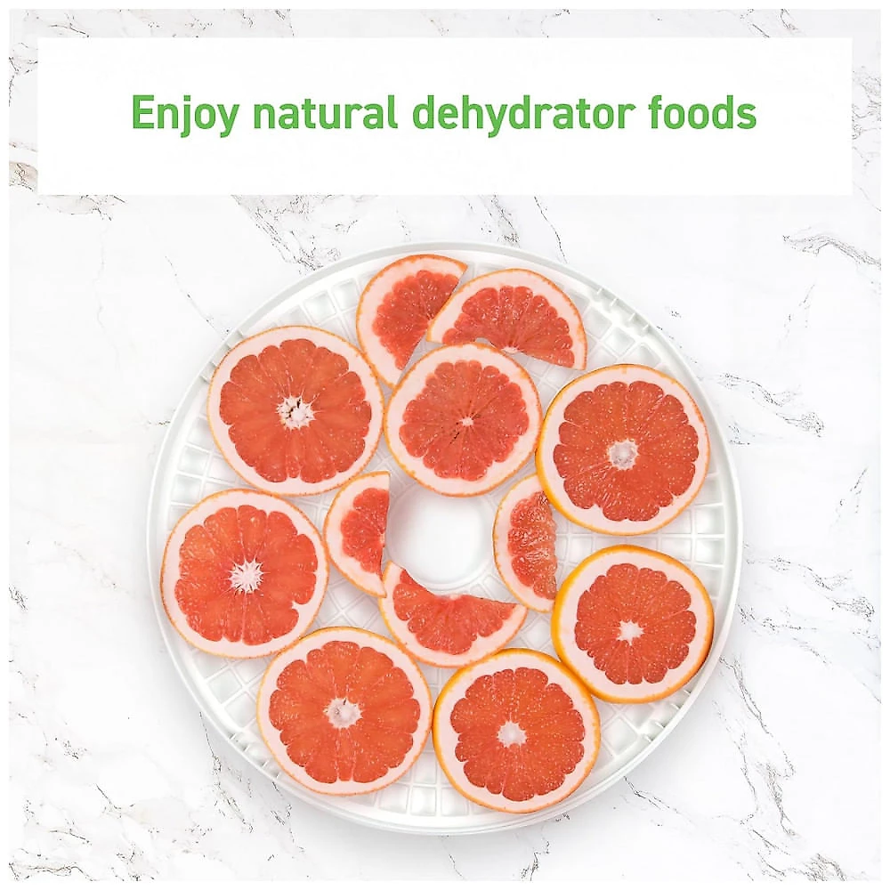 Desidratador de Alimentos COSORI Aço Inoxidável 6 Bandejas 6.48ft² 600W 240V