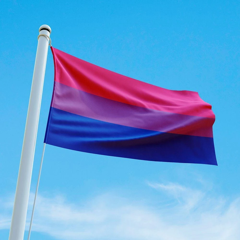 Bandeira Avulsa Orgulho LGBT Bissexual 55cm X 35cm Cetim Brilhante Rosa Dourados Enxovais
