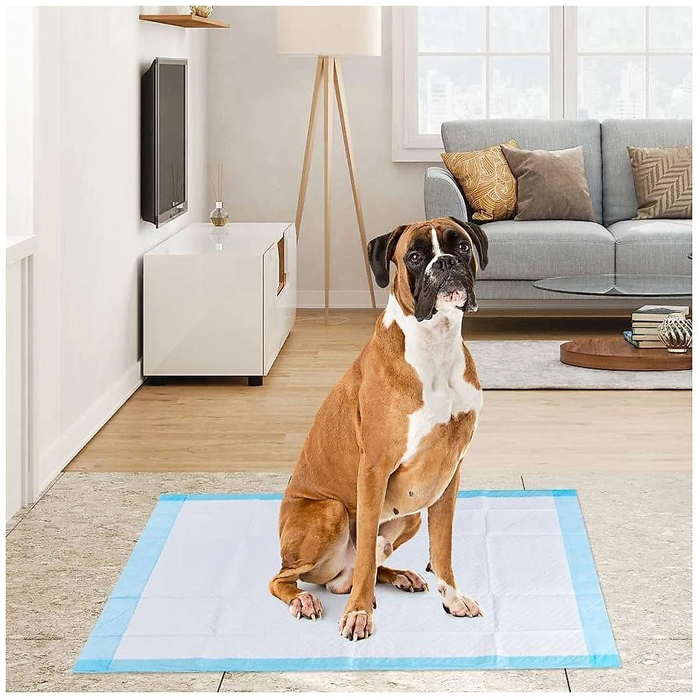 Tapete Higienico Cao Pet Cachorro 60x90 20 Unidades Animal De Estimaçao Antivazamento Treinamento Adestramento