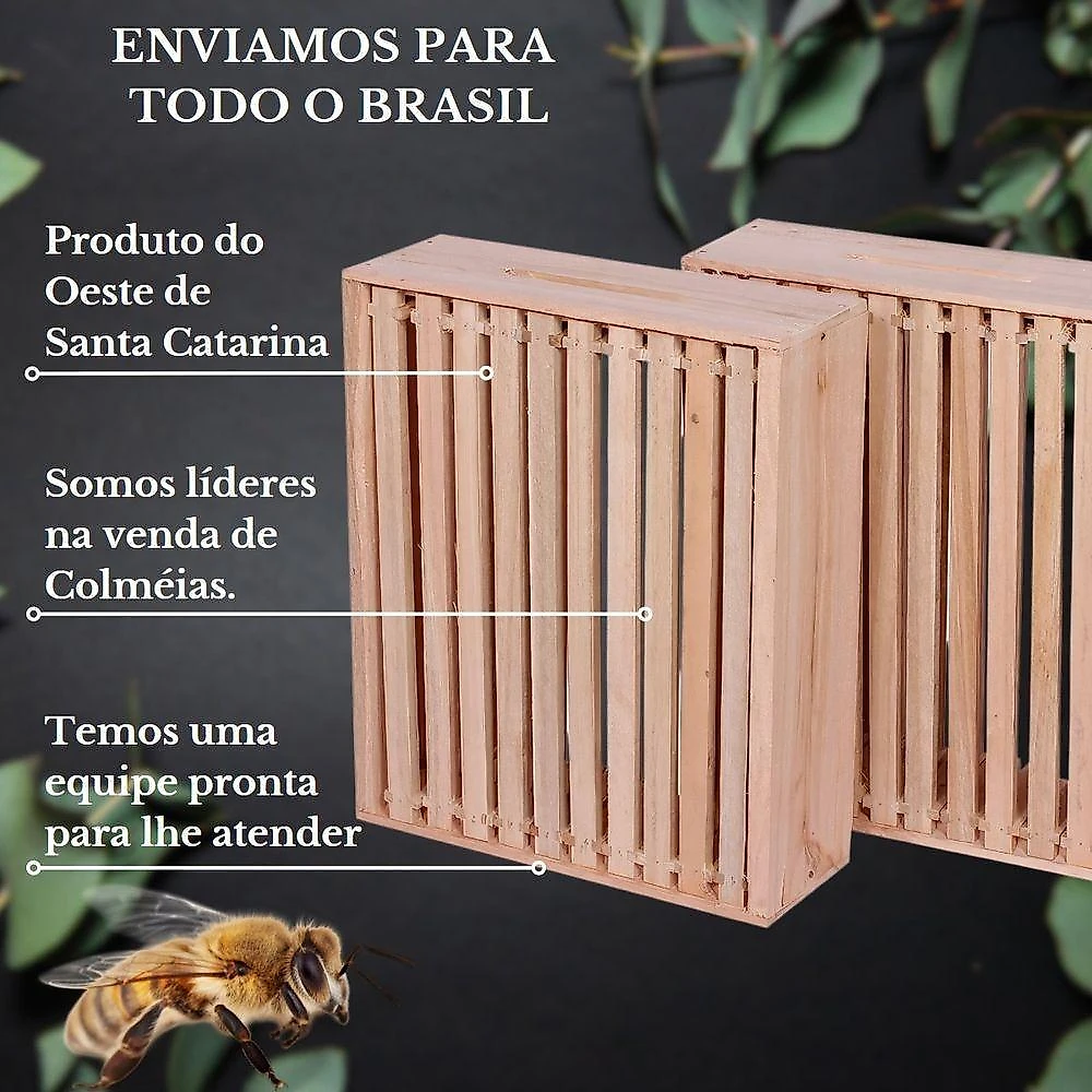 Caixa de Abelha Padrão Langstroth Eucalipto Rosa com 1 Melgueira 20 Quadros Arame Ilhós Beethoven