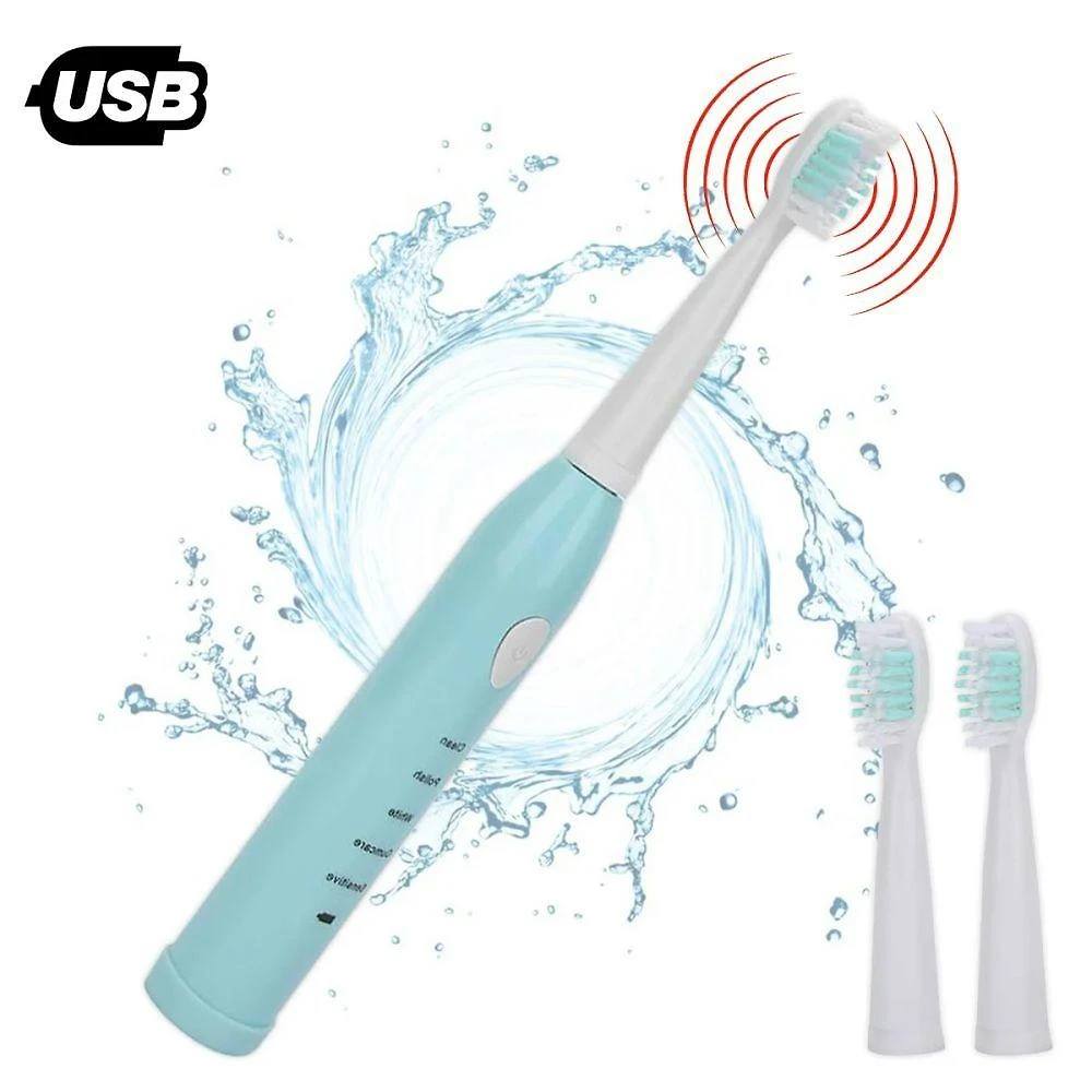Escova de Dente Elétrica Premium Colchões Escova Bucal Usb para Limpeza e Cuidados 5 Níveis Preto