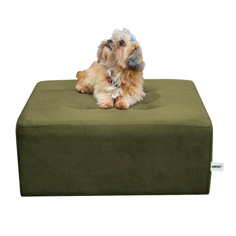 Cama Box E Pet Quadrado Com Pés Com Alumínio Chumbo