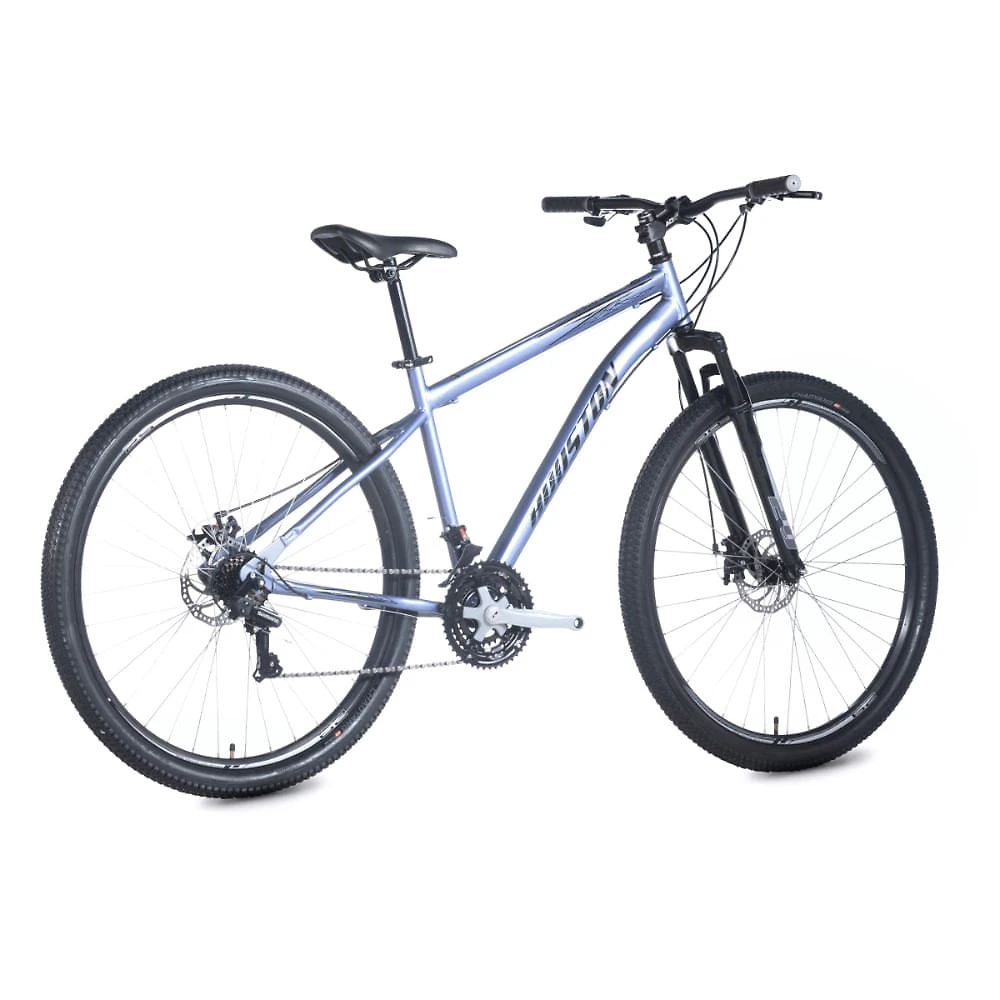Miniatura Bicicleta Aro 29 Sirius Metálico Houston Cinza