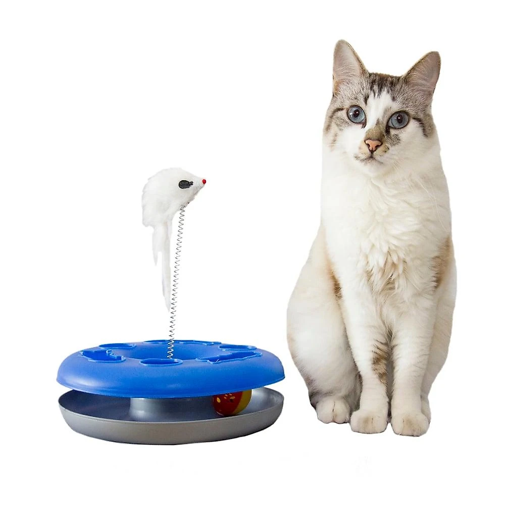 Brinquedo Kitty Ball - Cores Variadas - Tam. Único