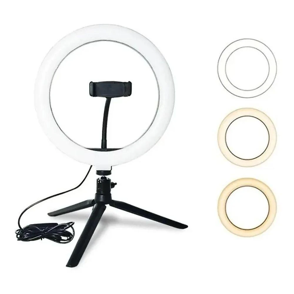 Iluminador Ring Light Exbom Ilum-r10w012 10