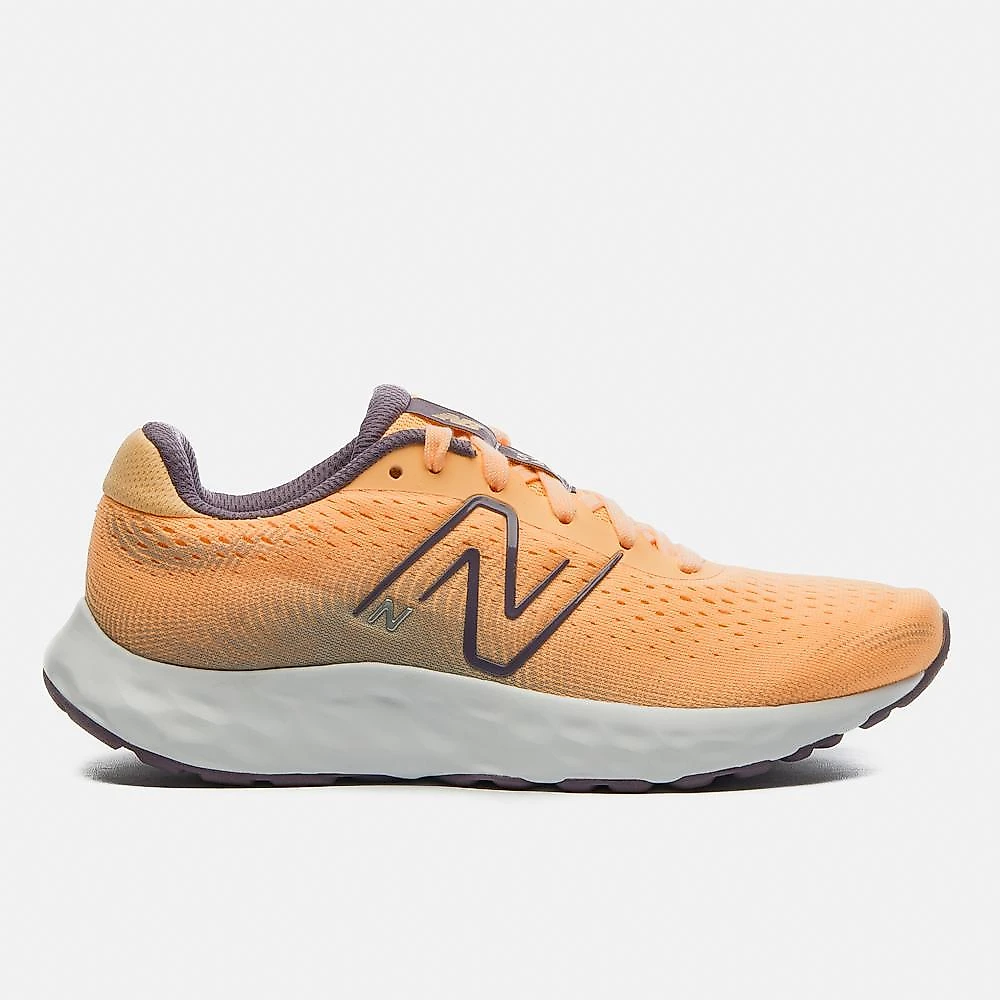 Tênis new balance 520v8 feminino 34