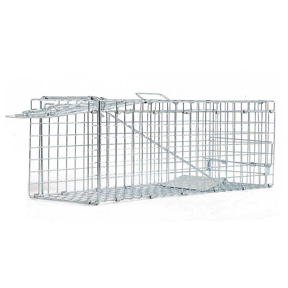 Armadilha Gaiola Gatoeira Lorben Grande Captura Resgate Animais Gatos Gambás Lagartos Gt6274