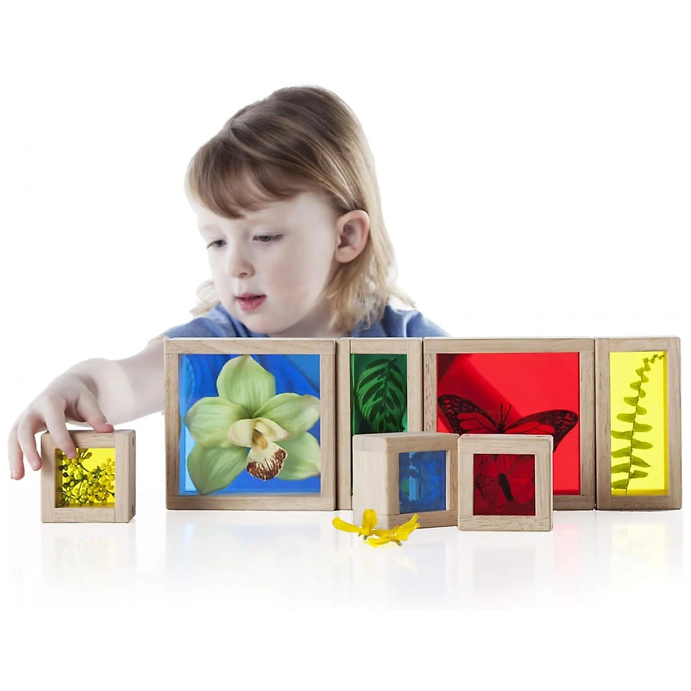 Blocos de Observação Guidecraft Treasure Blocks Primários Madeira e Acrílico Colorido 8 Peças G3085