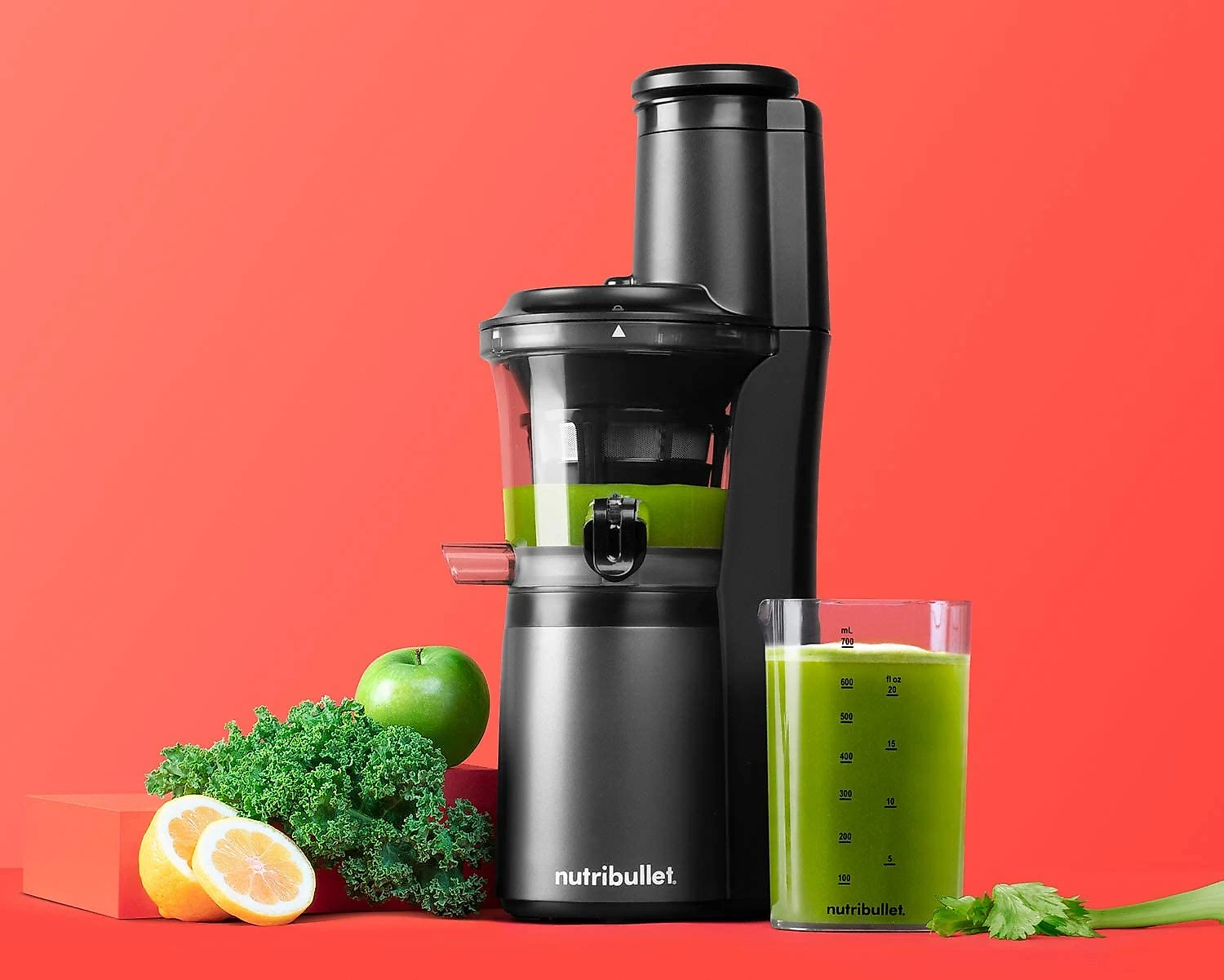 nutribullet NBJ50300 Centrífuga de Frutas Aço Inoxidável 11 0V150W Prata