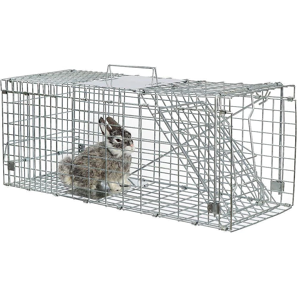Armadilha Gaiola Gatoeira Lorben Grande Captura Resgate Animais Gatos Gambás Lagartos Gt6274