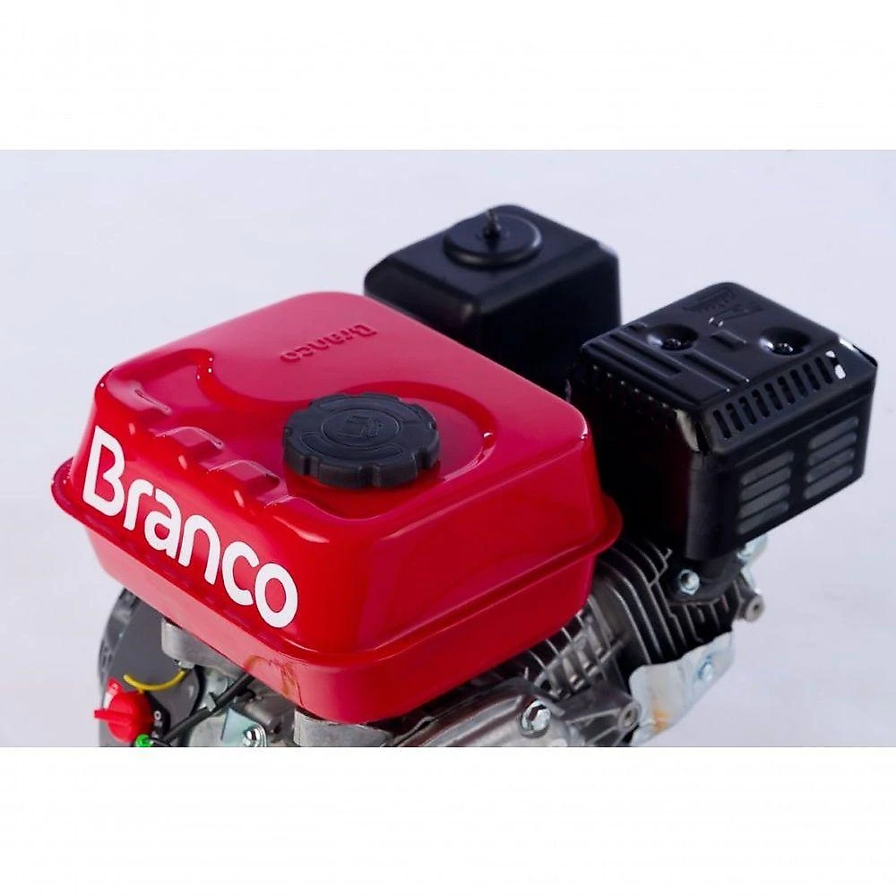 Motor de Gasolina B4t-7.5h 7,5cv Eixo Horizontal Ignição Eletrônica Branco