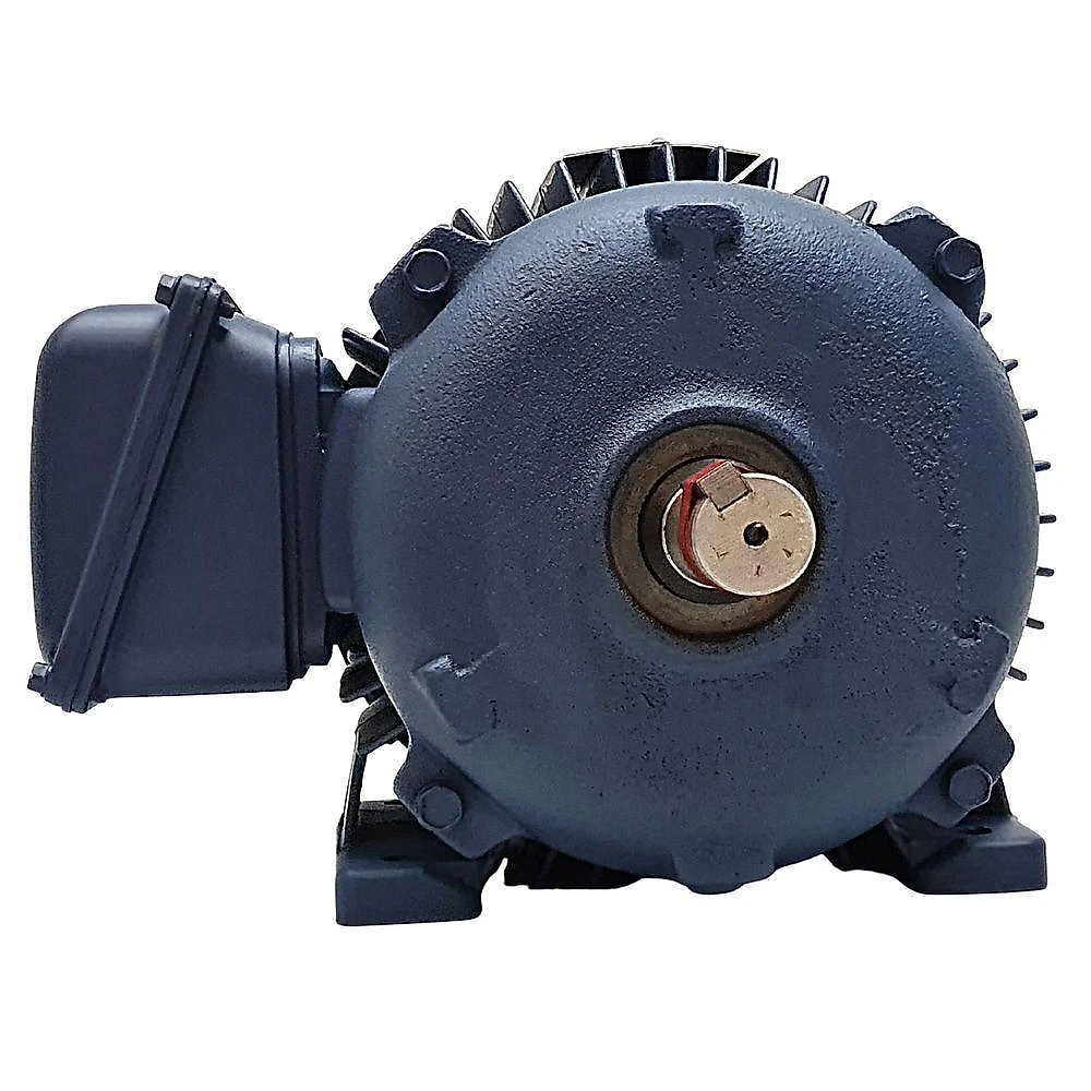 Motor Monofásico 5,0Cv - 4 Polos 110/220V Brr1320165 Bivolt