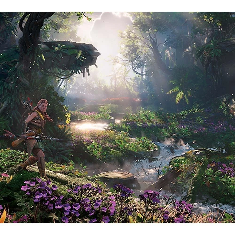 Jogo Horizon Forbidden West, PS5