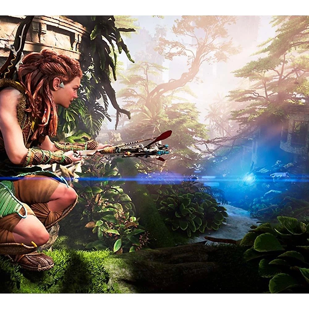 Jogo Horizon Forbidden West, PS4