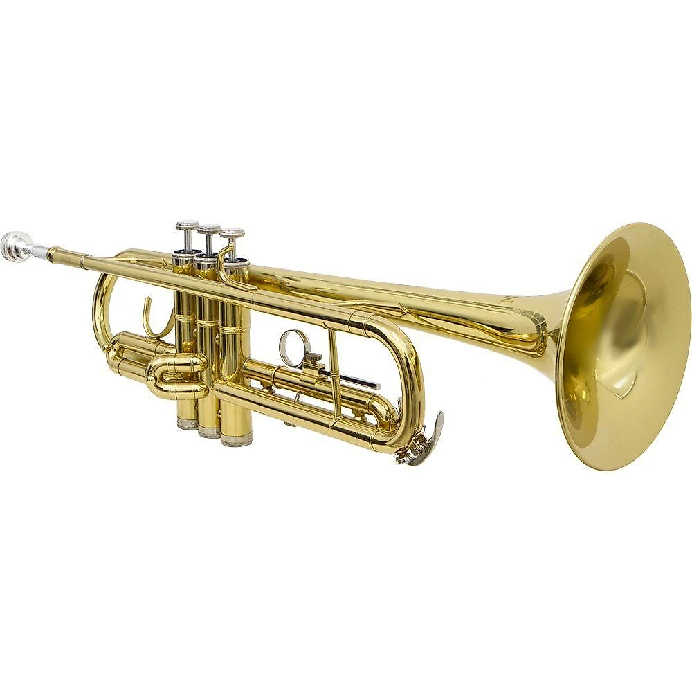Trompete Tp 200 Laqueado Dourado Com Case New York