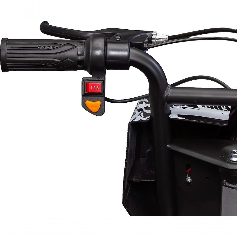 Triciclo Elétrico Drift WX-16 Wehawk Motor Brushless 350W Bateria Lítio 36V 4,4Ah Branco
