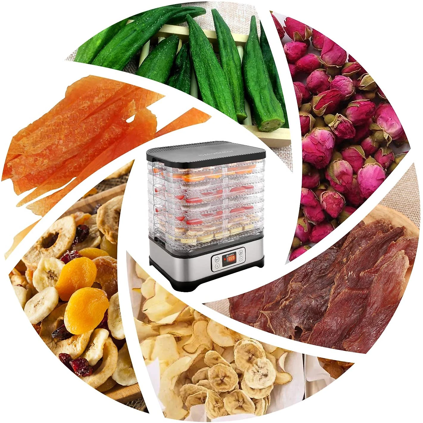 Homdox Desidratador de Alimentos 8 Bandejas Prata e Transparente 110V
