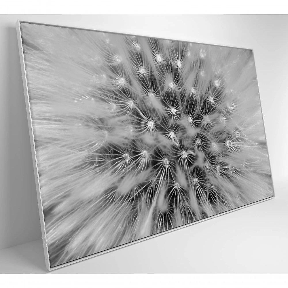 Quadro Dente De Leão Zoom 120x80 Cm Adesivo Fotográfico