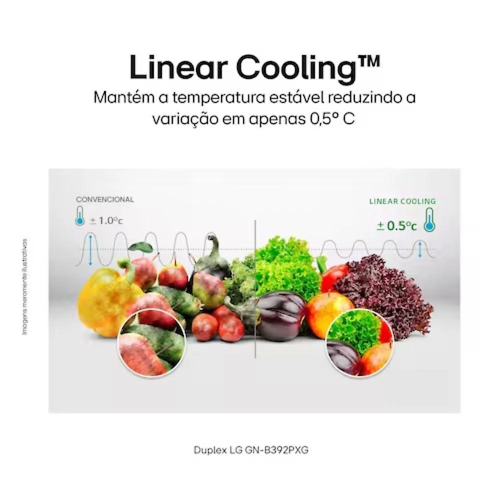 Geladeira LG Duplex Frost Free Inverter 395L GN-B392PXGB Preto 110V