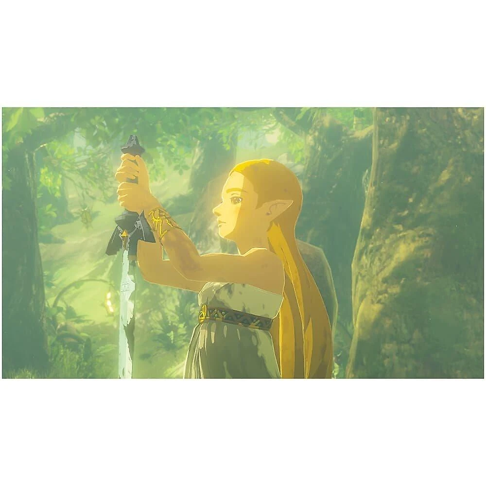 Jogo The Legend of Zelda : Breath of the Wild, Nintendo Switch 2 Edition