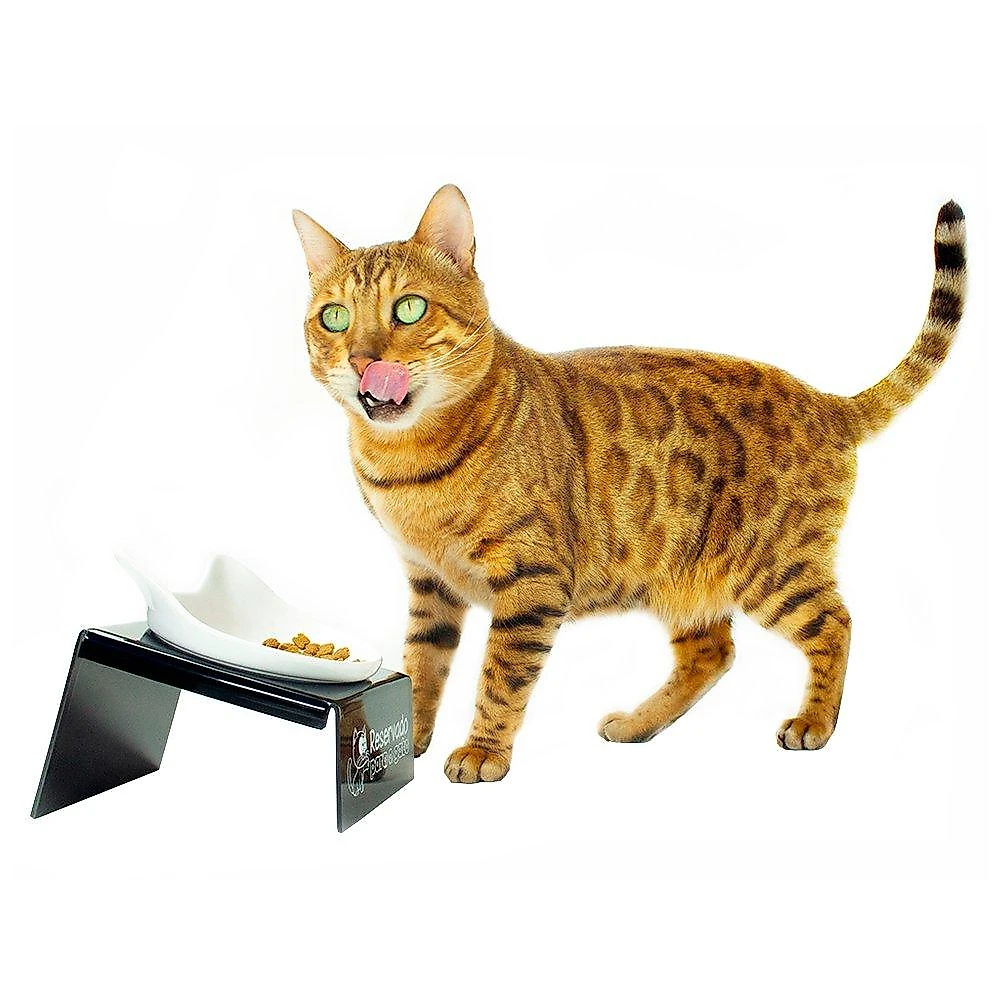 Comedouro CatMyPet Snack Cat - Vermelho