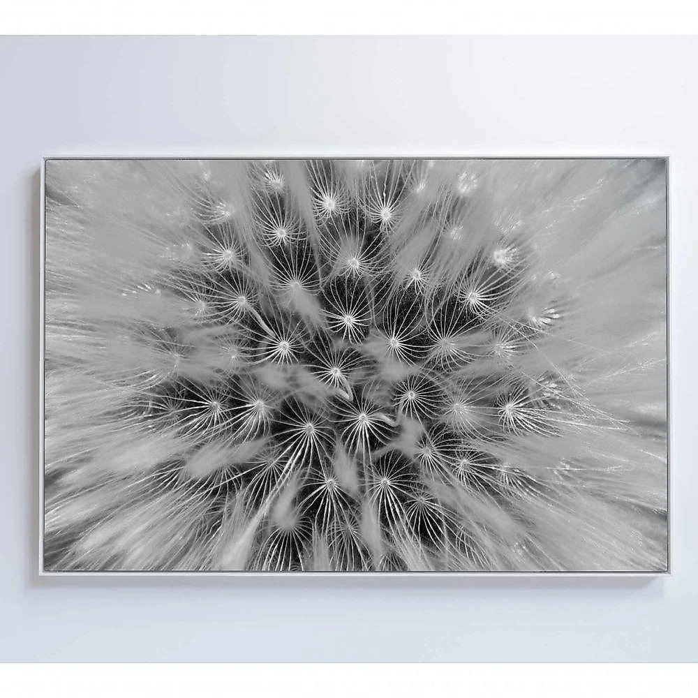 Quadro Dente De Leão Zoom 120x80 Cm Adesivo Fotográfico