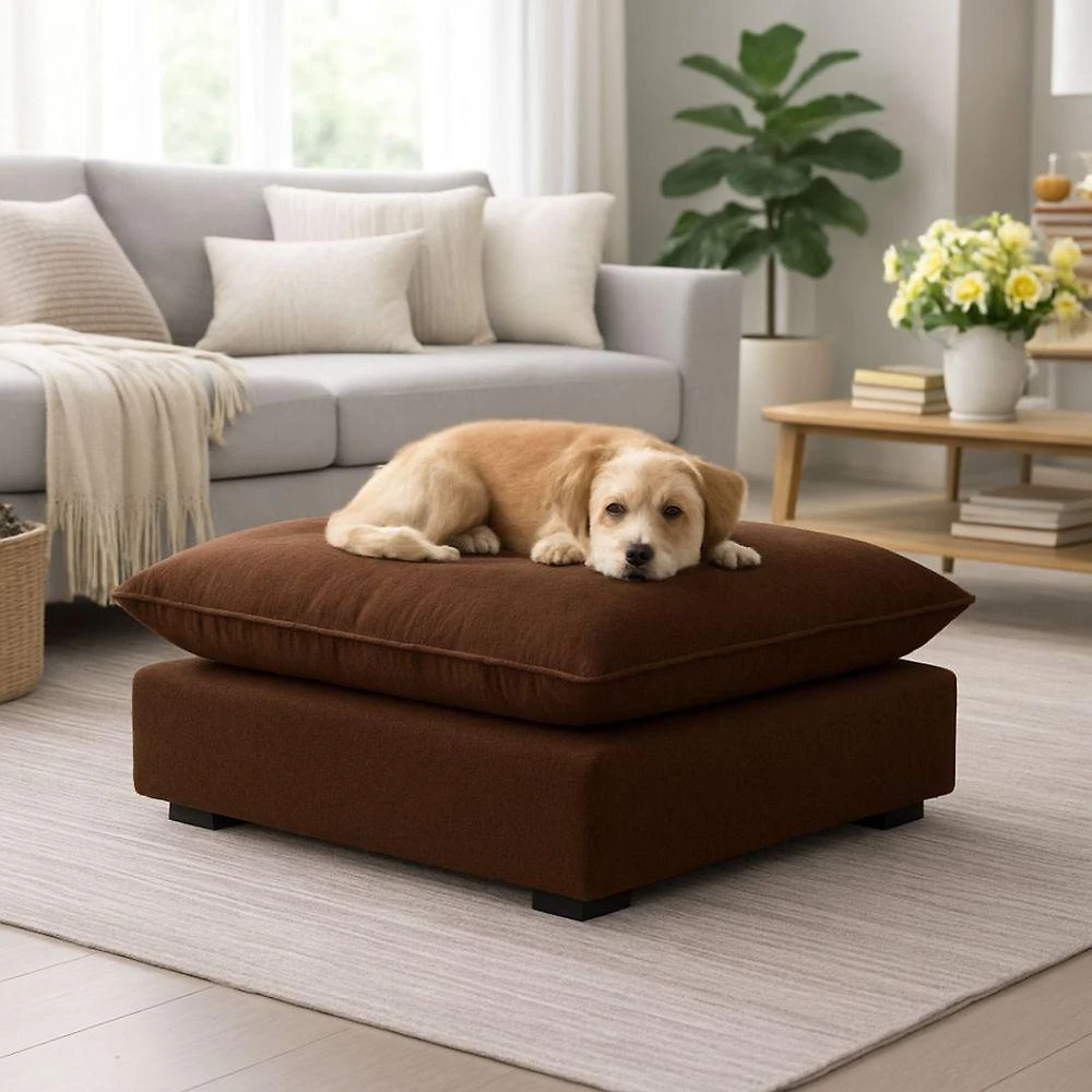 Cama Puff para Pet Black House Decor para Cachorro e Gato Suede Marrom 55cm X 40cm X 20cm
