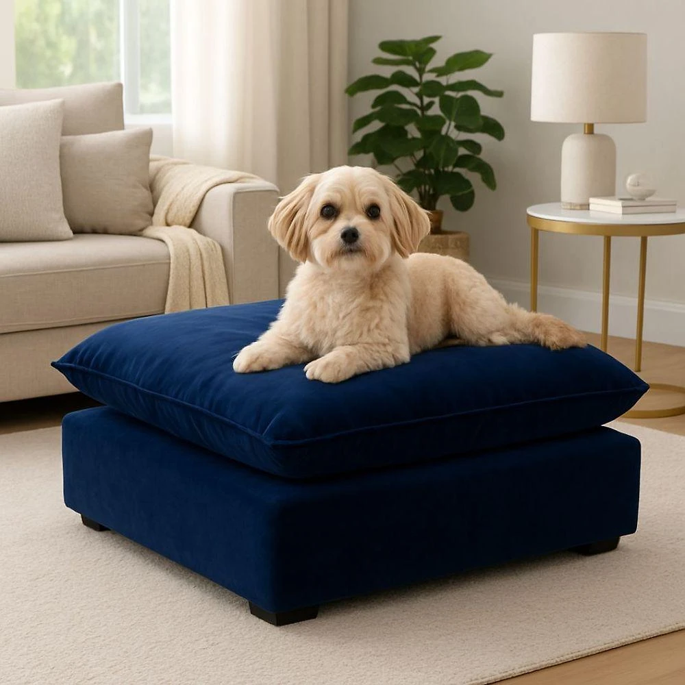 Cama Puff para Pet Black House Decor para Cachorro e Gato Suede Azul 55cm X 40cm X 20cm