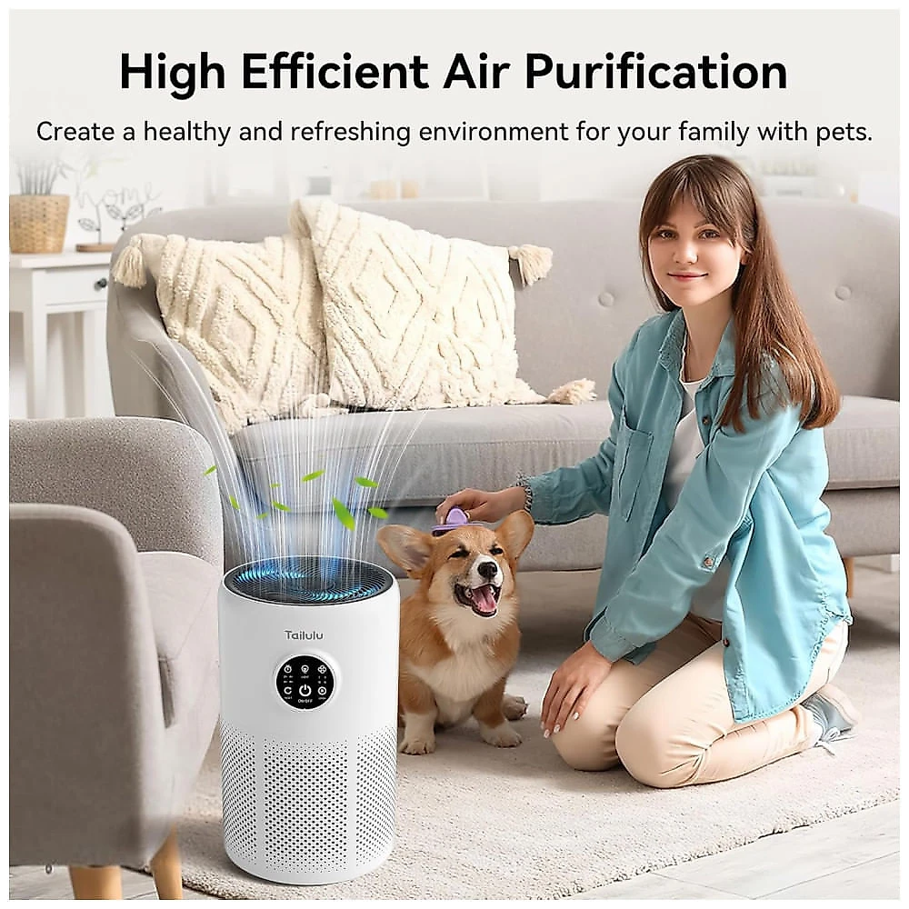 Purificador de Ar para Ambientes até 126m² com Filtro H13 HEPA, Temporizador, Função de Aromaterapia, Esponja, Baixo Ruído e Economia de Energia, 110v