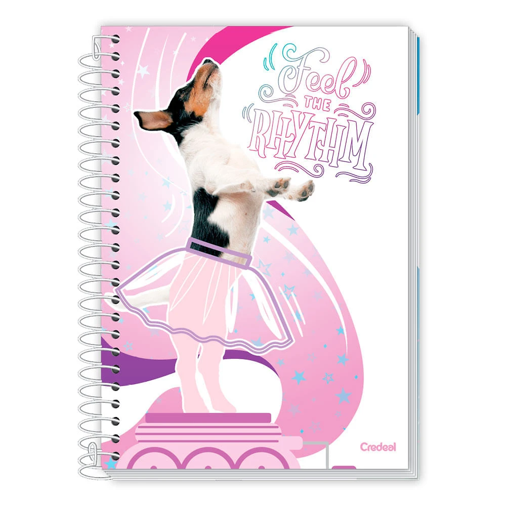 Caderno Universitário Feminino Mimo 160F/10 Matérias Credeal