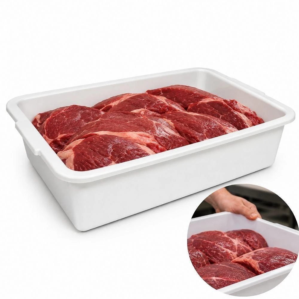 Bandeja Multiuso Caixa Frigorifica Plastico Industrial Reforcada Alimentos Freezer 9L