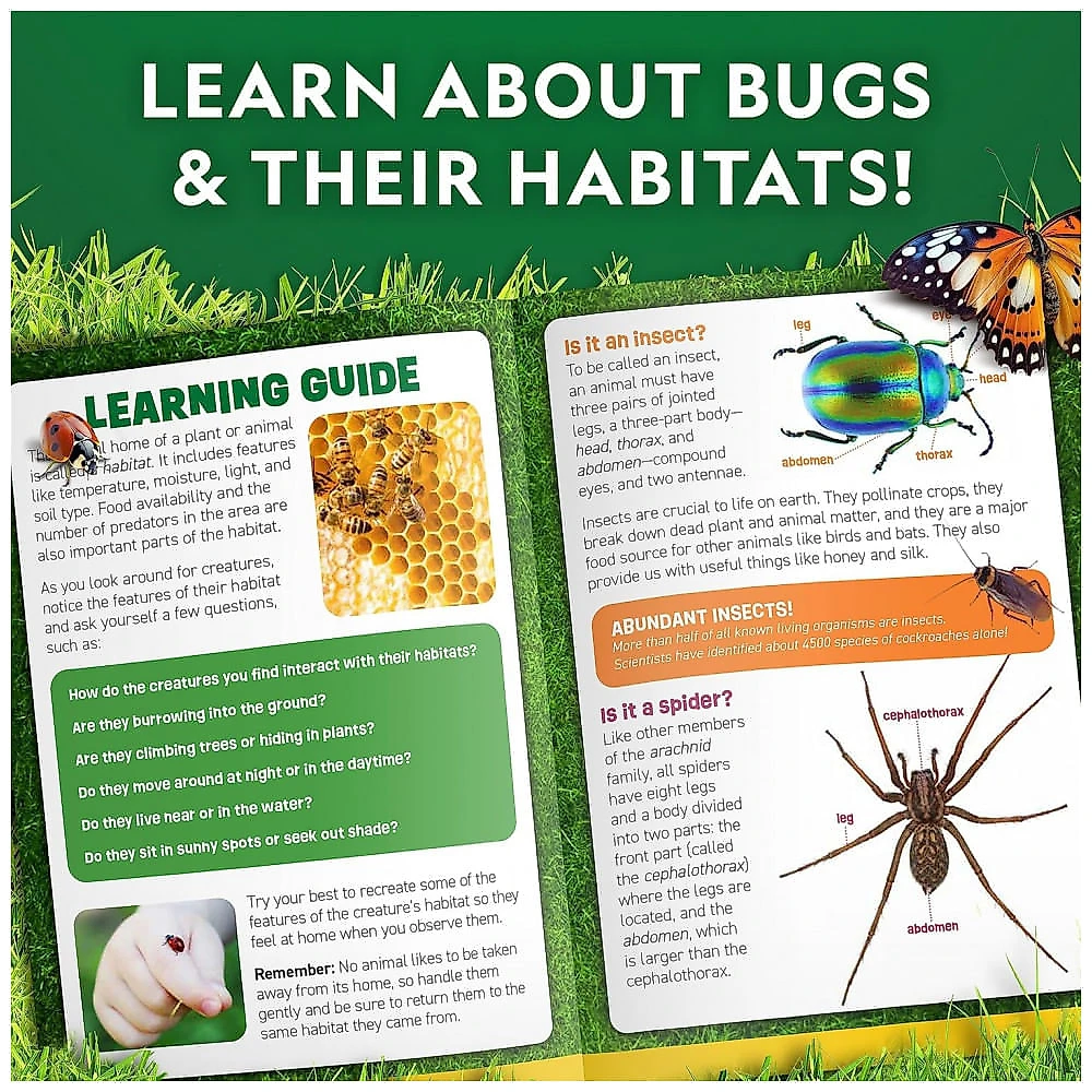 Kit de Exploração de Insetos – Habitats, Rede, Pinças, Aprendizagem STEM, Presente Educativo para Crianças, National Geographic
