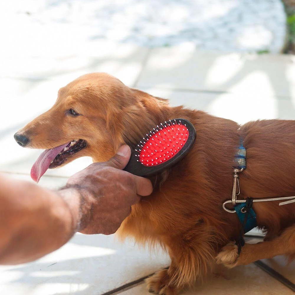 Escova Dupla Germanhart g para Cães e Gatos Marrom em Madeira Aço Inoxidável e Nylon webcontinental-7898641313879