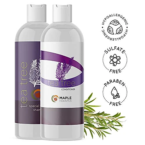 Shampoo e Condicionador Tratamento Natural Contra Caspa Cabelos Secos e Danificados