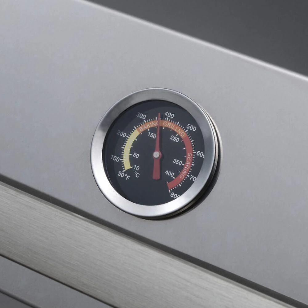 Churrasqueira Cooktop A Gás Fischer Bivolt
