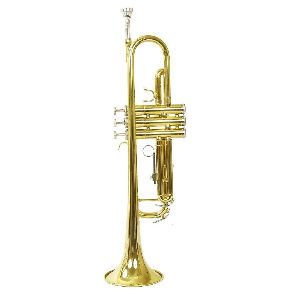 Trompete Tp 200 Laqueado Dourado Com Case New York