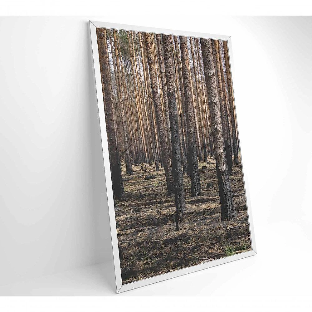 Quadro Eucaliptos 40x60 Cm Vidro Impresso