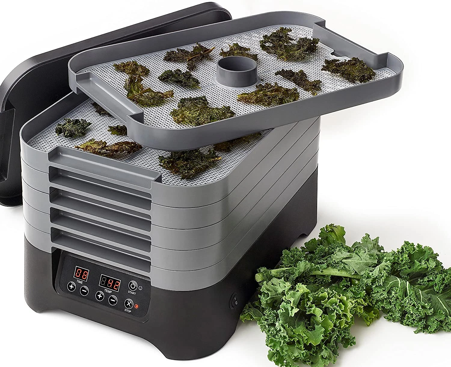 Excalibur STS60B Máquina Desidratadora de Alimentos com 6 Bandejas Painel Digital de Controle 480W110V