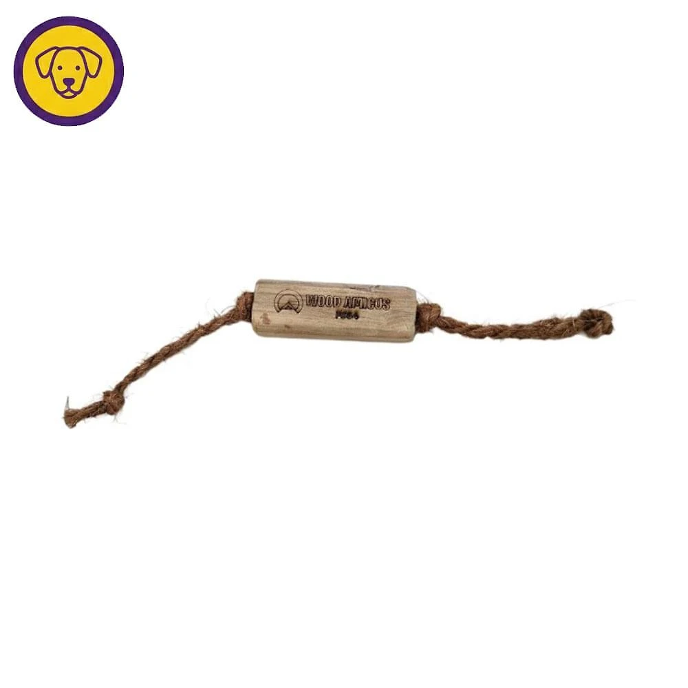 Brinquedo sustentável coconut wood bone para cães - amicus