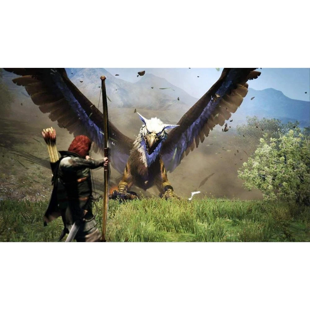 Dragon's Dogma Dark Arisen - Switch