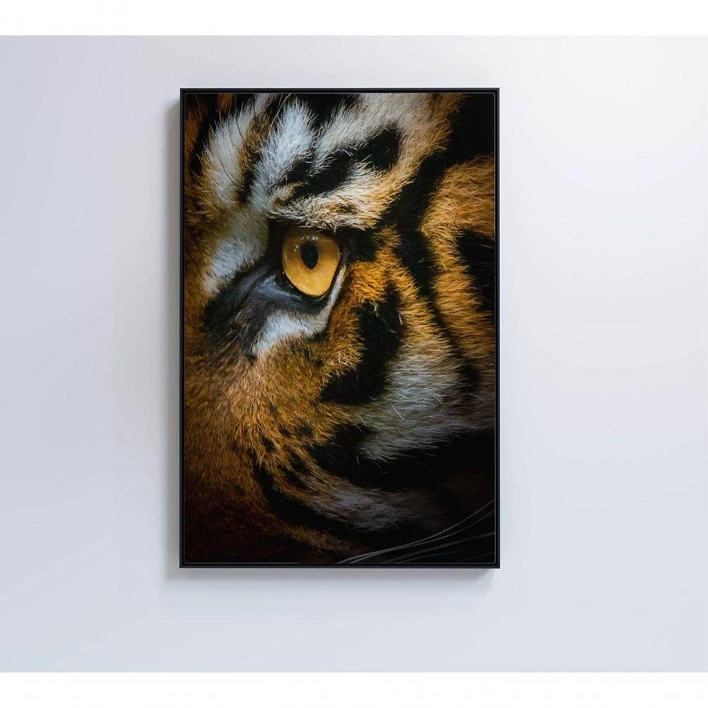 Quadro Olho Do Tigre 60x90 Cm Adesivo Fotográfico