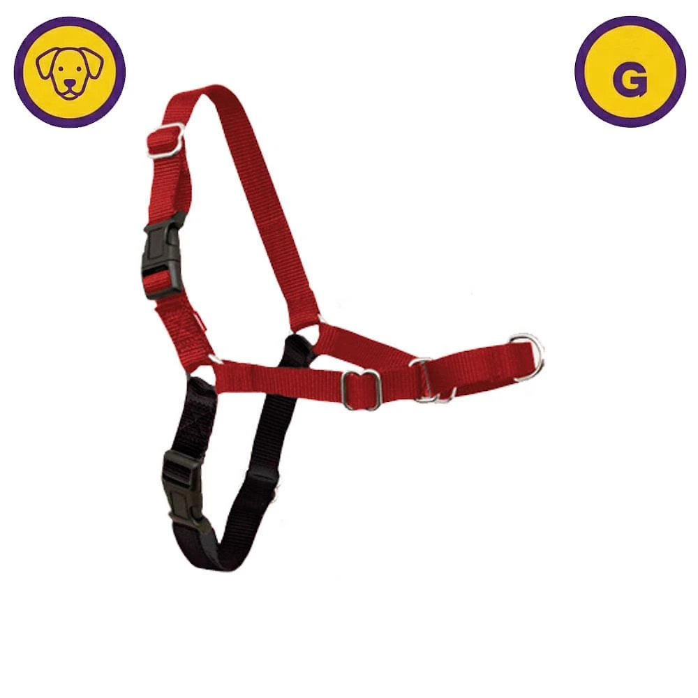 Peitoral easy antipuxão preto e vermelho para cães tam g - amicus