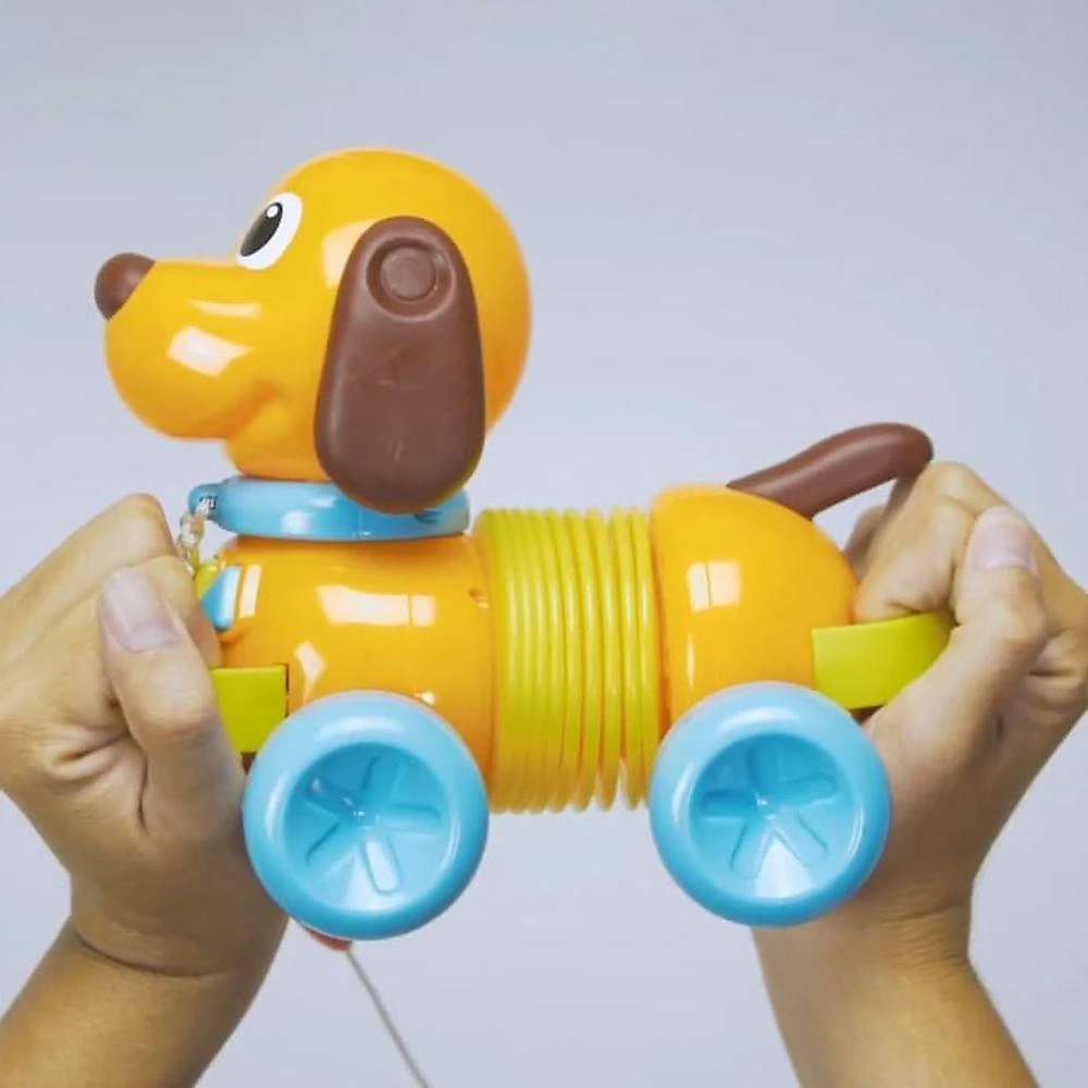 Toto Sanfona - Zoop Toys