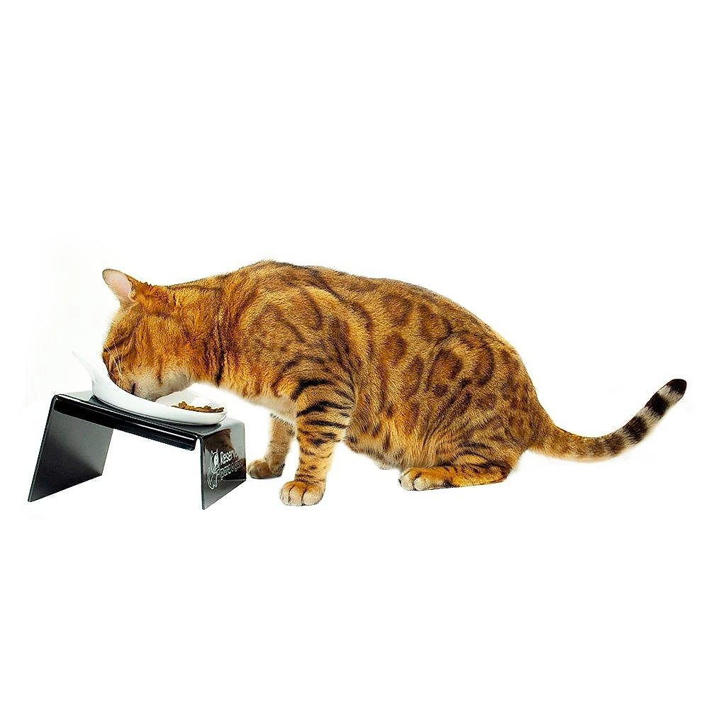 Comedouro CatMyPet Snack Cat - Vermelho