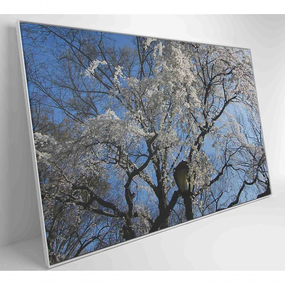 Quadro árvore Cerejeira 90x60 Cm Adesivo Fotográfico
