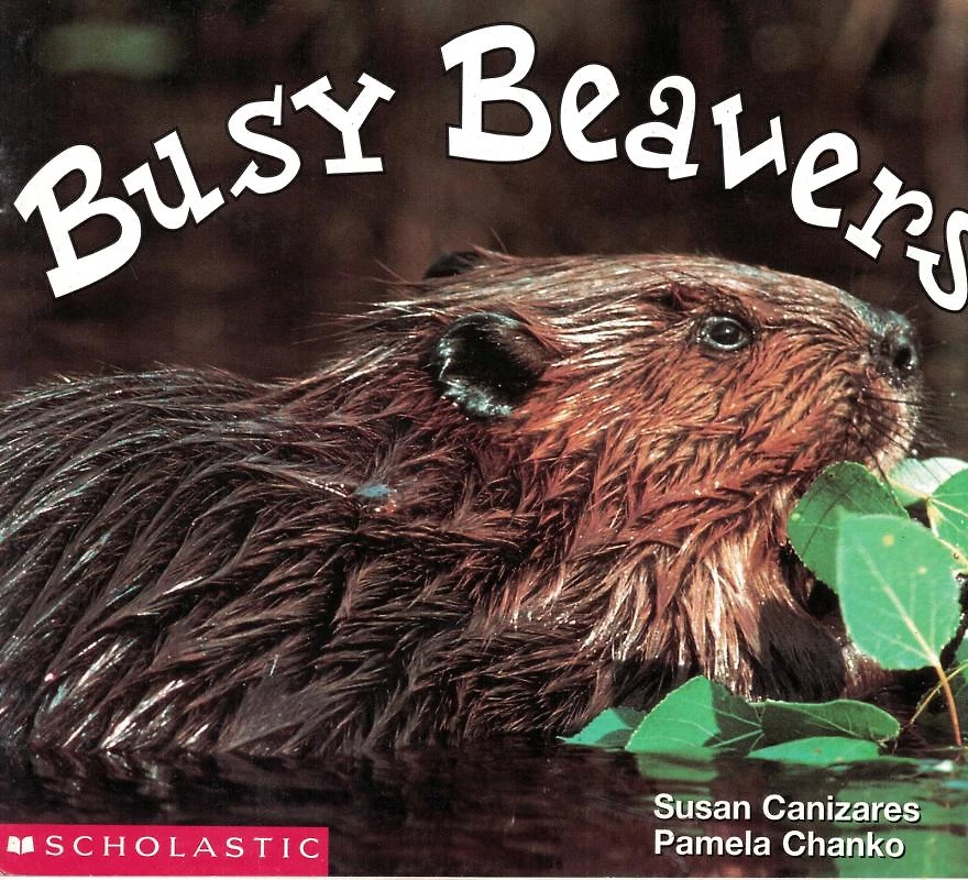 Busy Beavers
